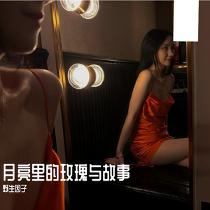 月亮里的玫瑰与故事