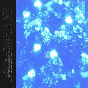 tálcunnana dëhajma tun dejl bënatsë abcul’han dlhenic ëlh inagat, jahadlhë adrhasha indauzglën nu dlhevusao ibajngra nava líeshtamhan ëf novejhan conetc danëctc qin, ëf tu dlhicadëtrhënna bë ablhundrhaba judjenan alhëtangrasë shidandlhamësë inqom