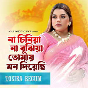 NA BUJHIYA NA CINIYA TOMAI MON DIYECHI