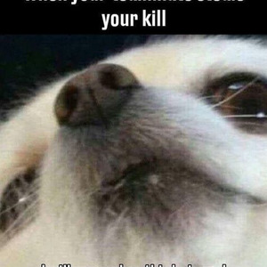 kahos