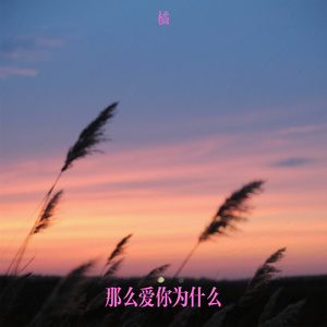 那么爱你为什么（橘 Remix）