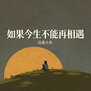 如果今生不能再相遇