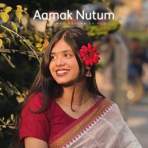 Aamak Nutum (Slowed Reverb Lo-fi)
