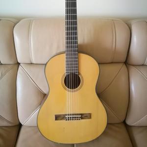 在北京的金山上（吉他独奏）