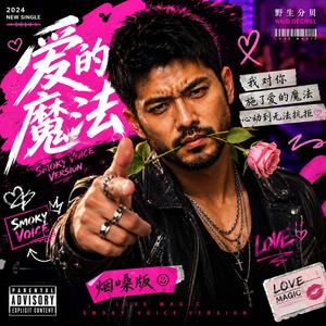 爱的魔法(烟嗓版)