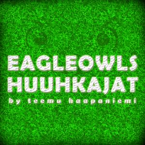 EagleOwls (Huuhkajat)