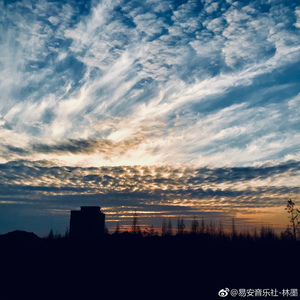 外面的世界「黄其淋（林墨）」（翻自 莫文蔚）
