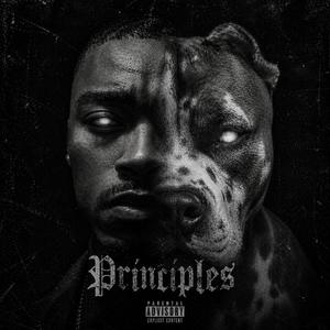 Principles