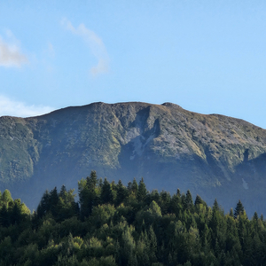 Your Long Lonely Experience