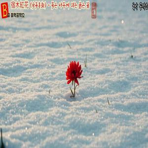 宿木紅花 (숙목홍화) - 묵은 나무에 피는 붉은 꽃