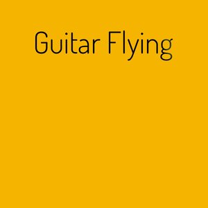 Guitar Flying