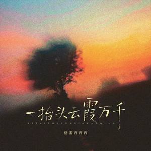 一抬头云霞万千（DJ李显风版）