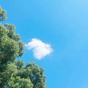 水色倒映蓝天