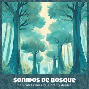 Sonido del Bosque