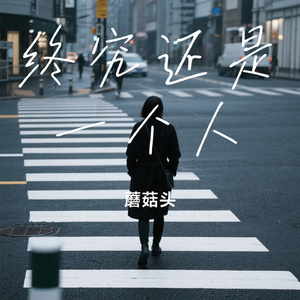 终究还是一个人