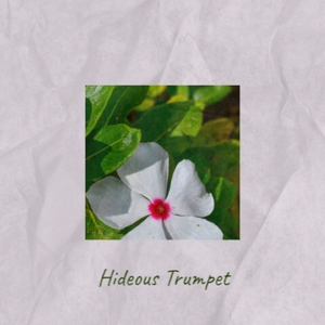 Lulu´s Back In Town