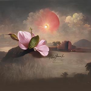 Terimakasih bapak Joko Widodo