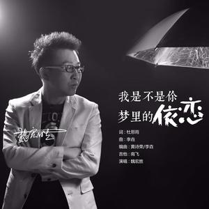 我是不是你梦里的依恋