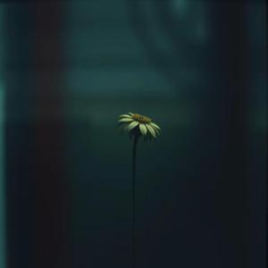 Baba tarafından okunmamış masallar