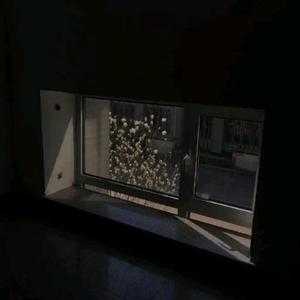 if（翻自 请叫我学长）