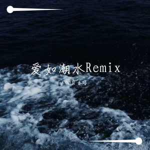 张信哲-爱如潮水Remix（Cop贝吉塔 remix）