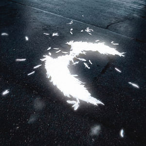 angel's tears
