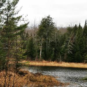 Solo Por Sentir La Vida