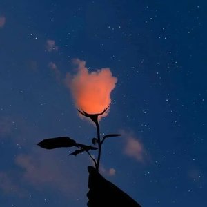 虞兮叹