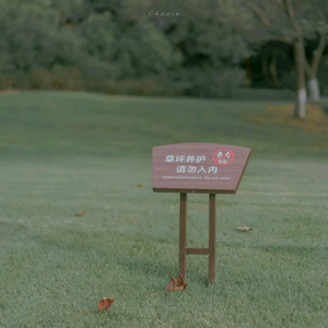 欢（温柔女声弹唱）