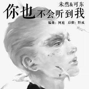 你也不会听到我