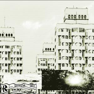 Polubilismy Predkosc