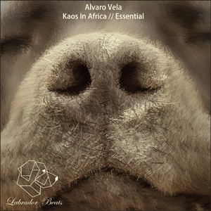 Essential (Original Mix)