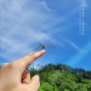 가을이 오려나봐요 (Inst.)