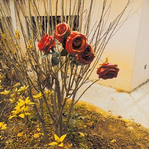 追忆无言春华（prod. by SOGIMURA）