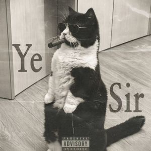 YE SIR
