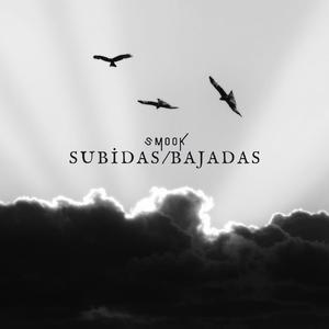 Subidas/Bajadas