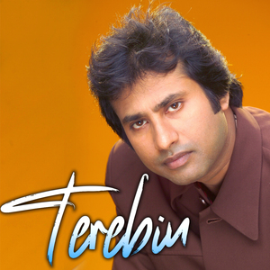 Terebin