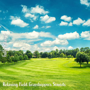 Relaxing Field Grasshoppers Sounds, Pt. 11