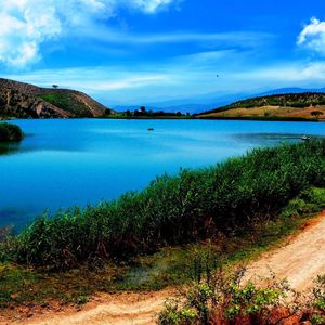 梦里花落知多少