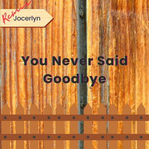 You Never Said Goodbye (Remix)