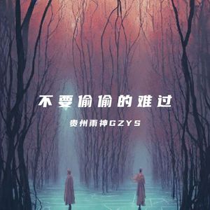 不要偷偷的难过