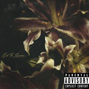 Own The Summer (feat. Che Noir)