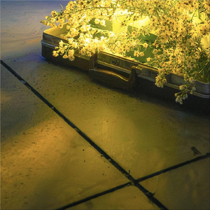 Terlalu marah buat Jakarta