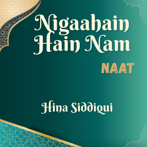 Nigaahain Hain Nam