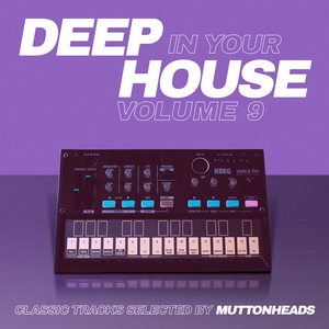 Deep in Your House, Vol. 9 (Continuous Mix)