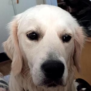 まぶしいあなたとスポットライト