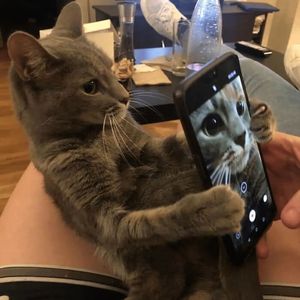 privet privet 2009 st