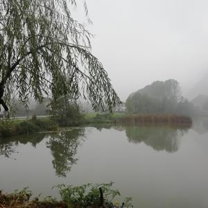 Occhi che ci salvano