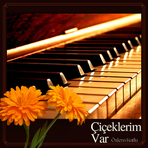 Yıllardır Devam Ediyorum