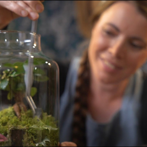 Intro - Collecting Moss